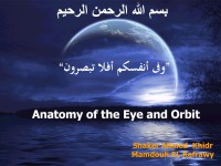 ANATOMY OF THE EYE AND ORBIT